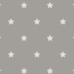 Load image into Gallery viewer, Mini Star Scatter