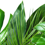 Load image into Gallery viewer, Close-up detail of Lush Tropical Foliage showing monstera leaves and botanical detail