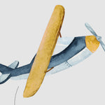 Load image into Gallery viewer, Flying Adventures