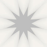 Load image into Gallery viewer, Soft Petal Radiance