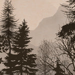 Load image into Gallery viewer, Rustic Forest Silhouette