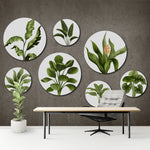 Load image into Gallery viewer, Botanical Circle Harmony