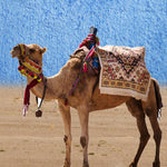 Load image into Gallery viewer, Camels of the Blue City