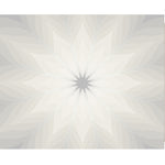 Load image into Gallery viewer, Soft Petal Radiance