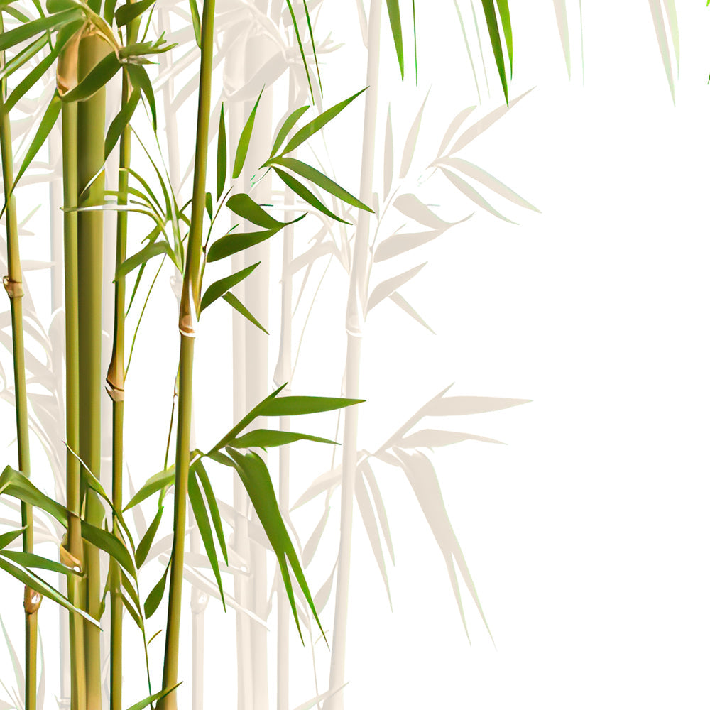 Close-up detail of Golden Bamboo Grove showing bamboo canes and leaves