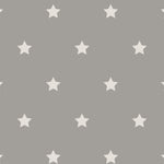 Load image into Gallery viewer, Mini Star Scatter