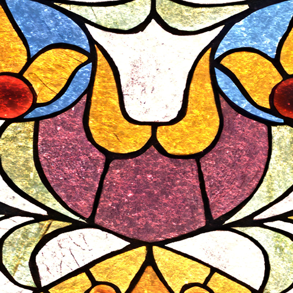 Close-up detail of Golden Tulip Radiance showing amber petals and plum glass