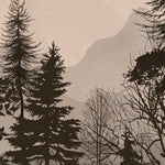 Load image into Gallery viewer, Rustic Forest Silhouette