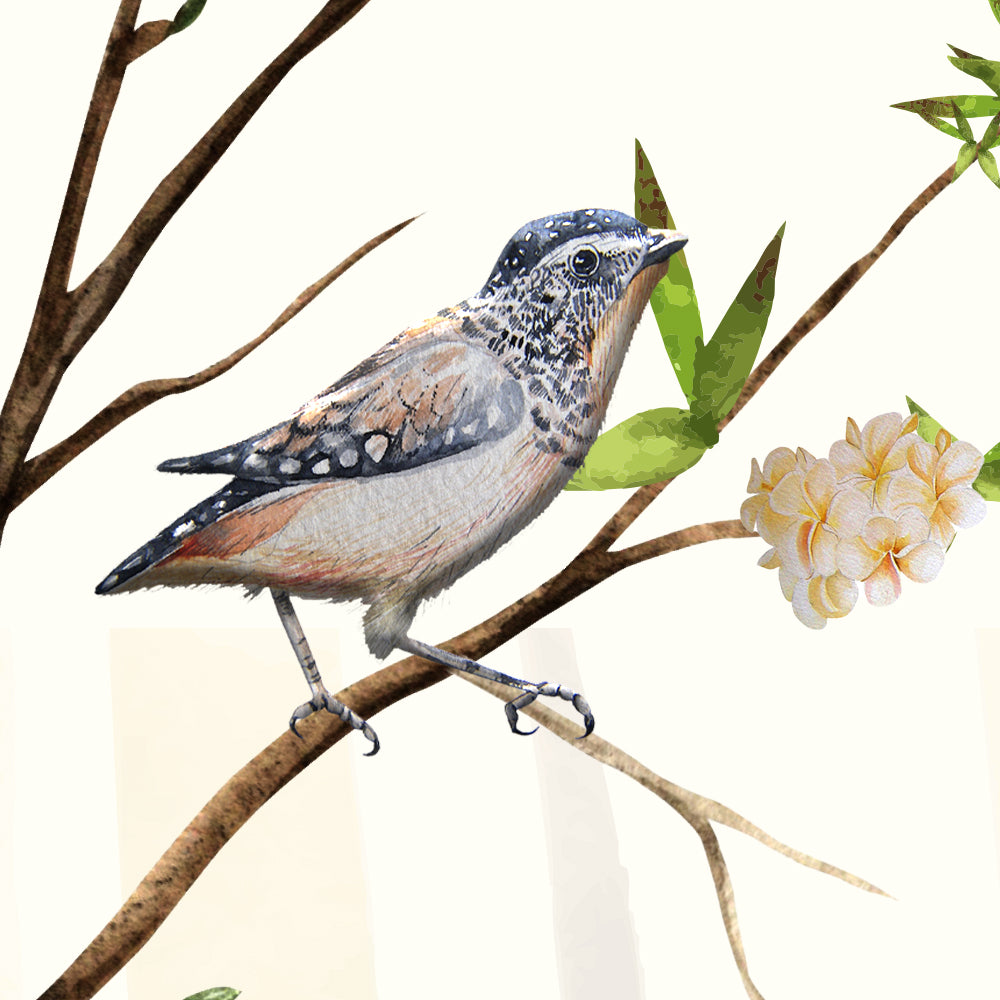 Blossom Bird Symphony