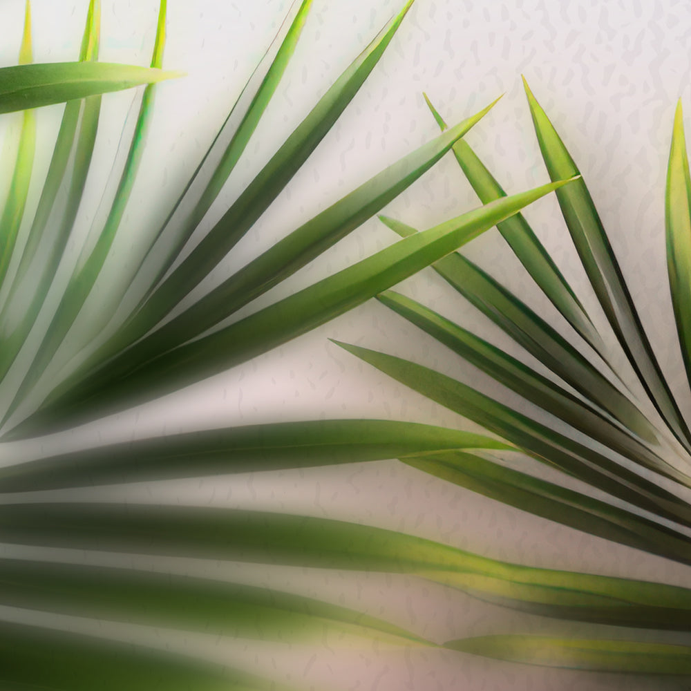 Palm View Tropical Blur