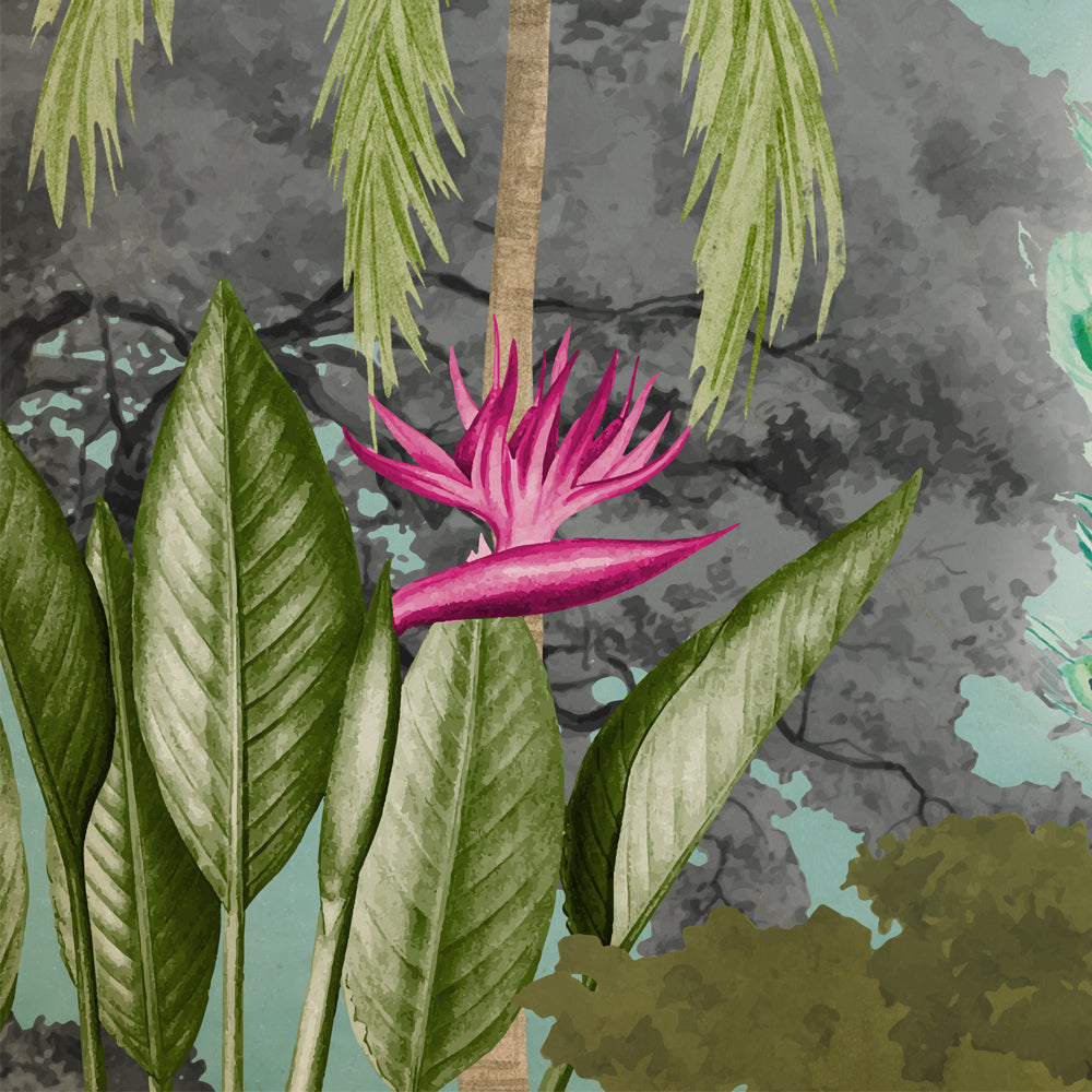 Dance of the Feathers