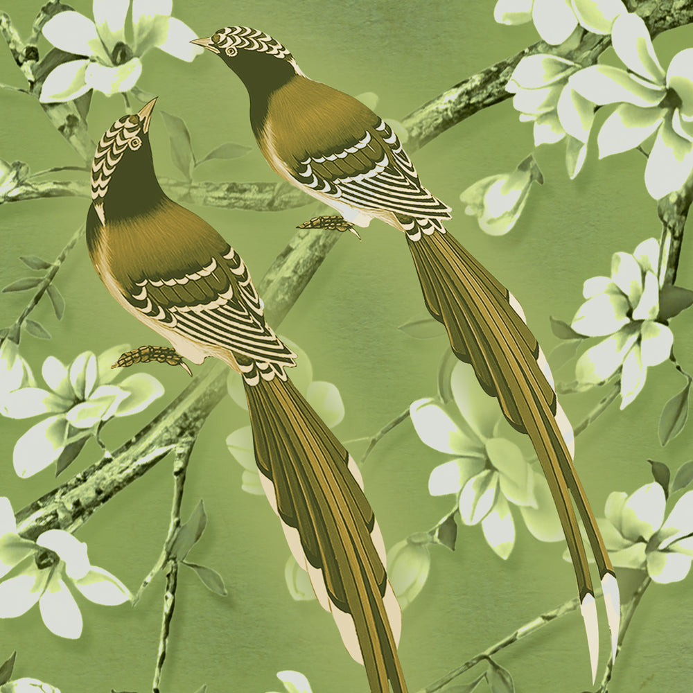 Olive Blossom Serenity