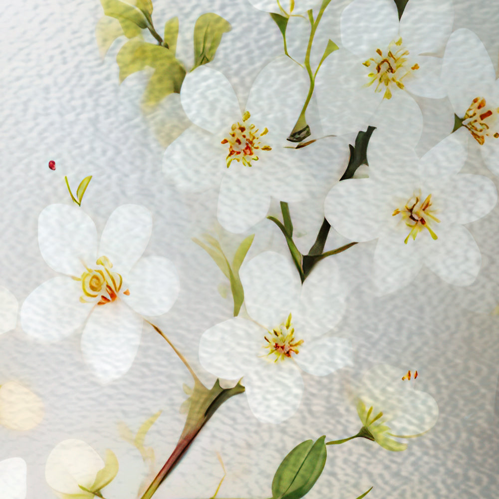 Close-up detail of White Cherry Frost showing blossom petals on frosted glass