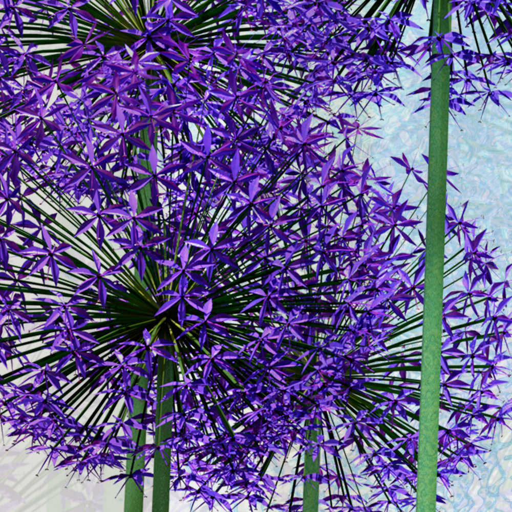 Close-up detail of Purple Allium Reverie showing star-shaped florets on frosted glass