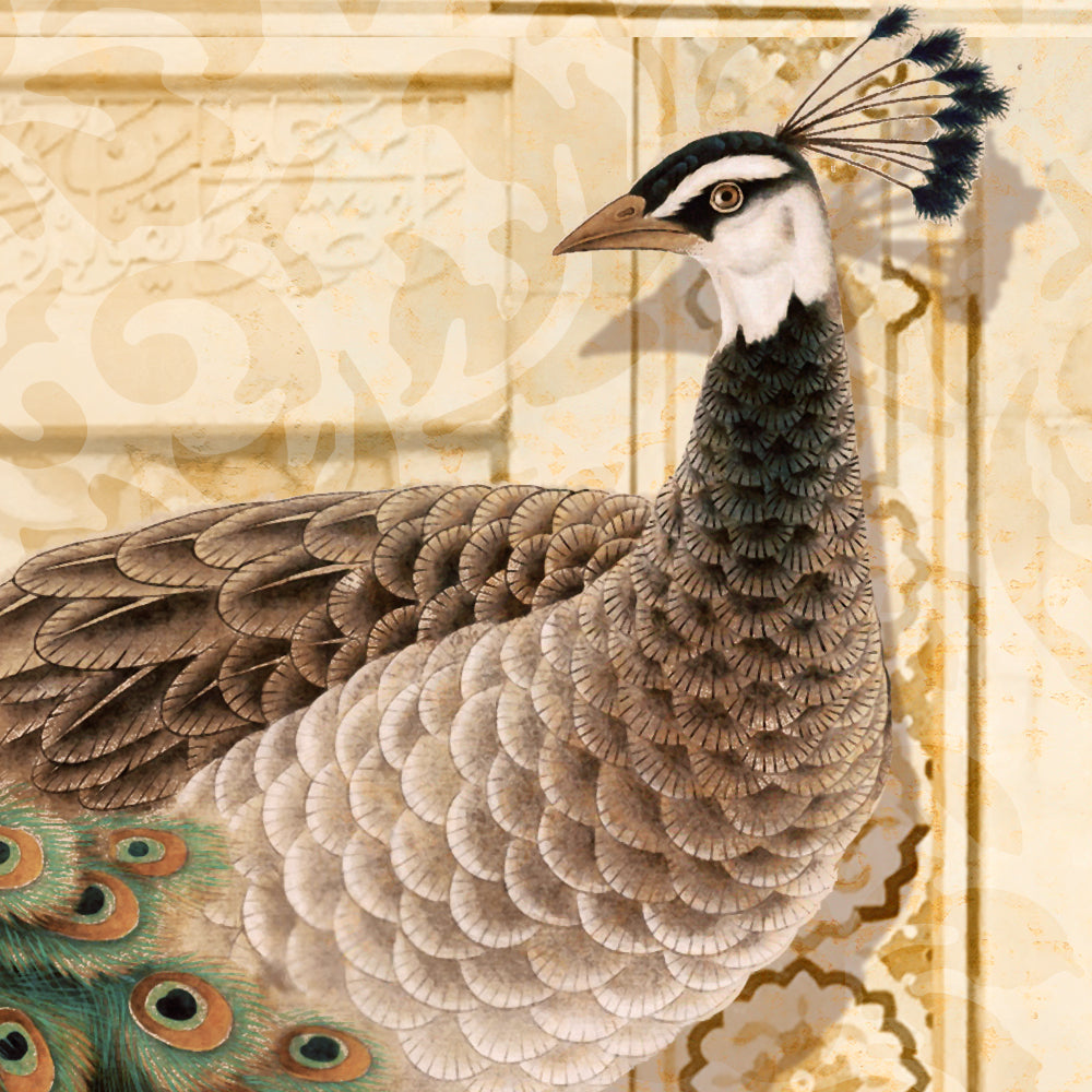 Close-up detail showing a peahen with fine cream and taupe scallop feathering against a gold damask wall