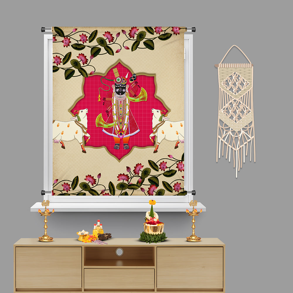 Shreenathji Divine Grace