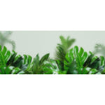 Load image into Gallery viewer, Sunlit Fern Border glass film pattern in soft greens, full design view