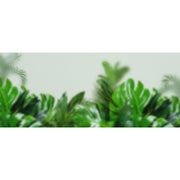 Sunlit Fern Border glass film pattern in soft greens, full design view