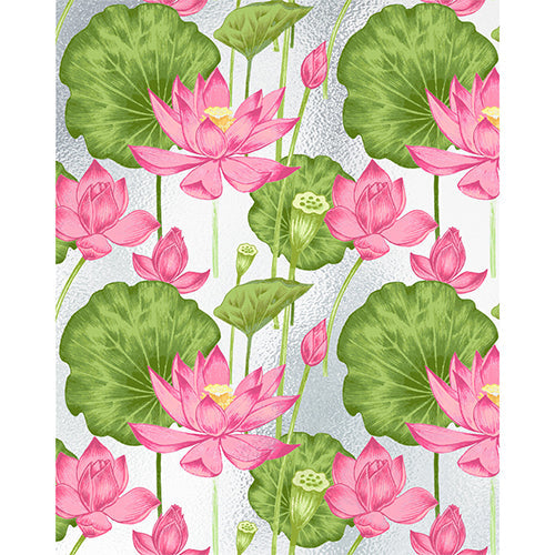 Pink lotus frosted glass film on a window — Lolli & Omi