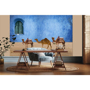 Camels of the Blue City