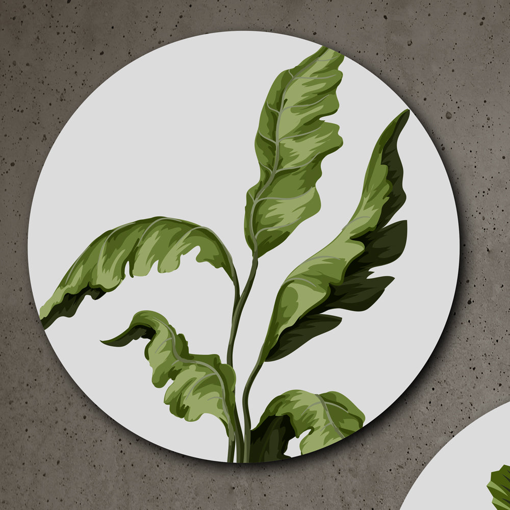 Botanical Wall Art