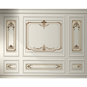 Classic Panel Elegance