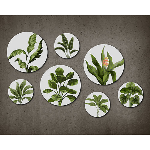 Botanical Circle Harmony