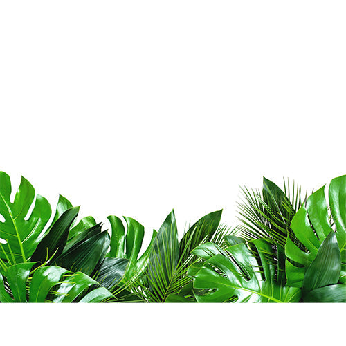 Lush Tropical Foliage glass film pattern in green and yellow, full design view