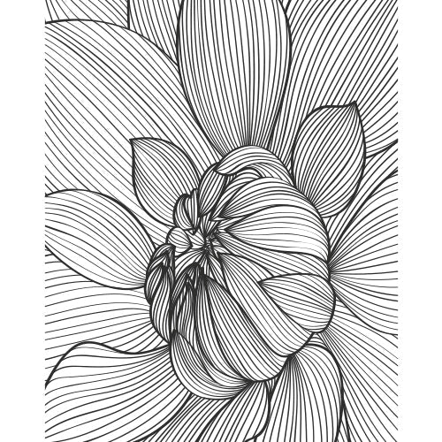 Inked Dahlia Lines glass film pattern in black and white, full design view