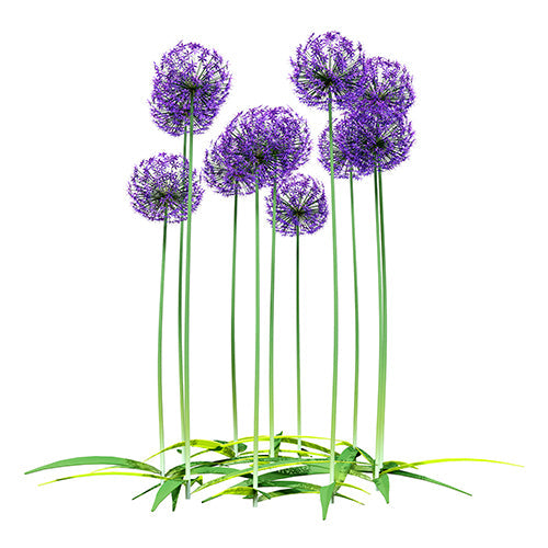 Purple Allium Garden glass film pattern in purple and green, full design view